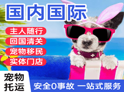 嘎洒航空空运国际宠物托运 【国